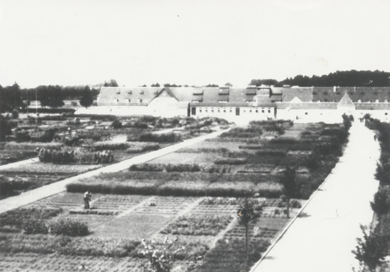 Blick über den Heilkräutergarten auf das Hauptgebäude der Plantage